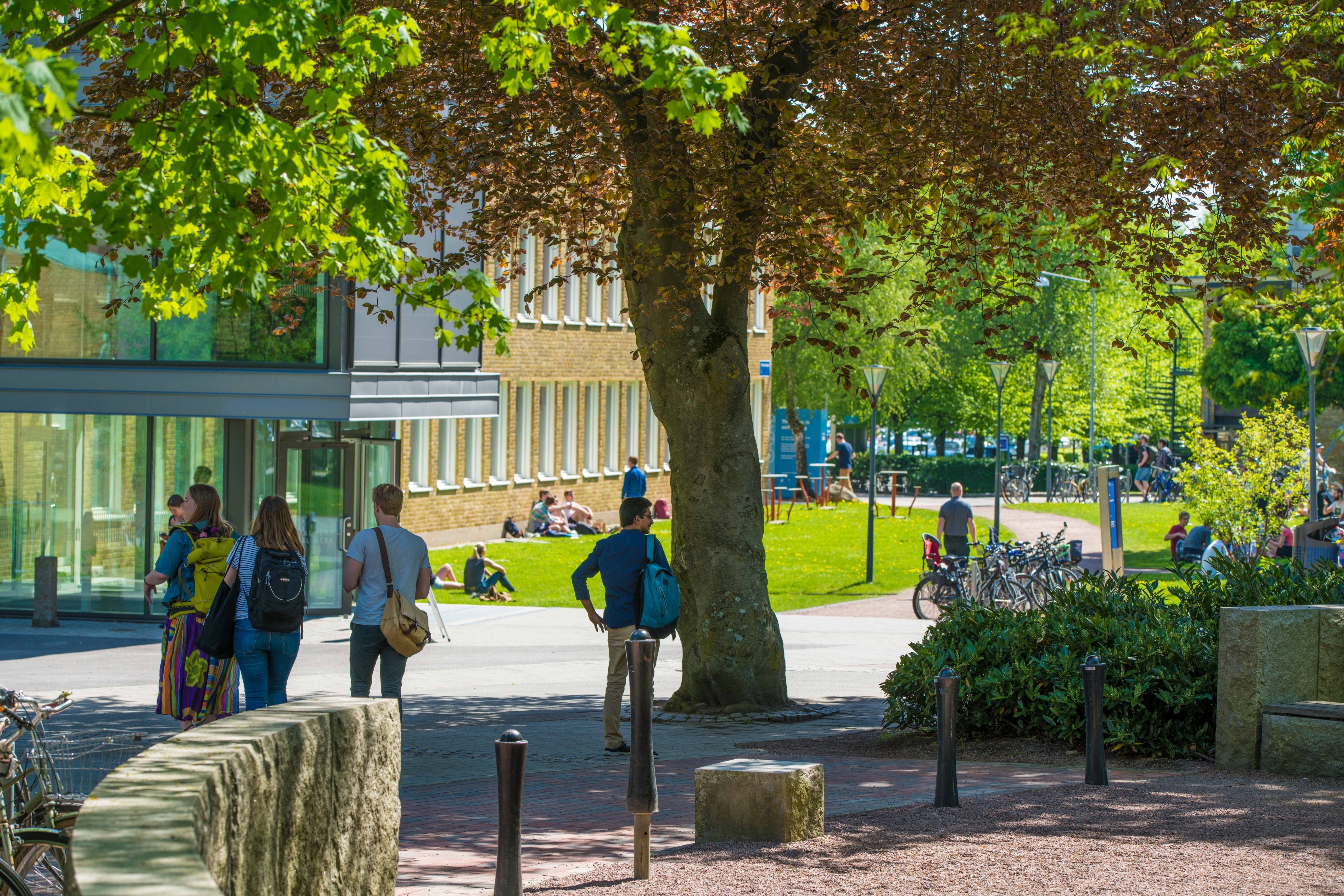 Chalmers Open Access Award 2026